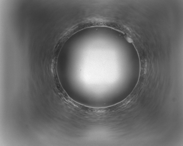 X0000071351157200607071716