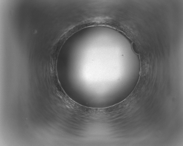 X0000071351158200607071716