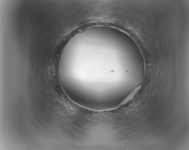 X0000071351159200607071716