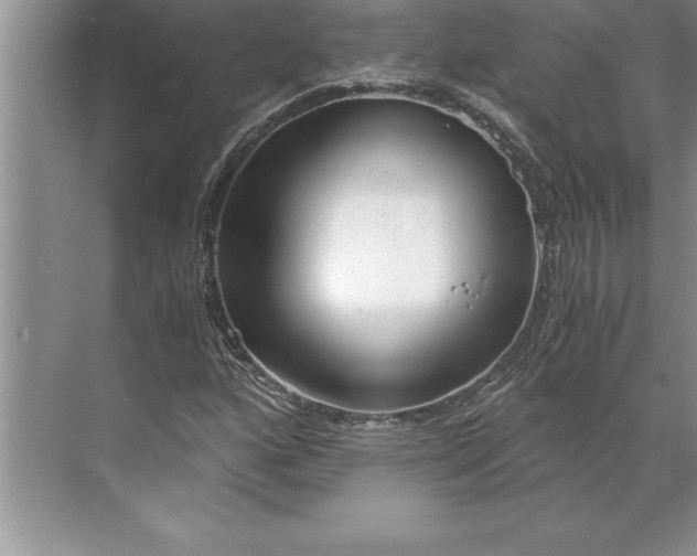 X0000071351160200607071716