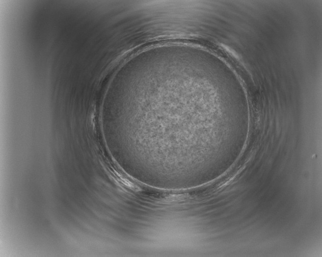 X0000071351161200607071716