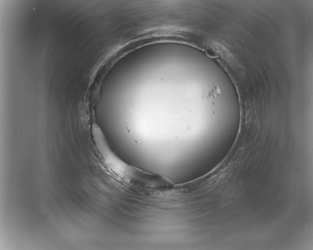 X0000071351164200607071716