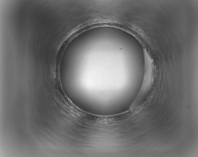 X0000071351165200607071716