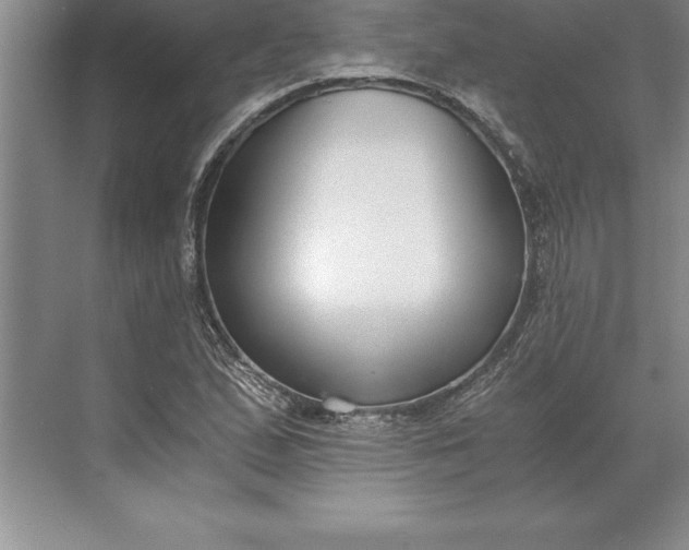 X0000071351167200607071716