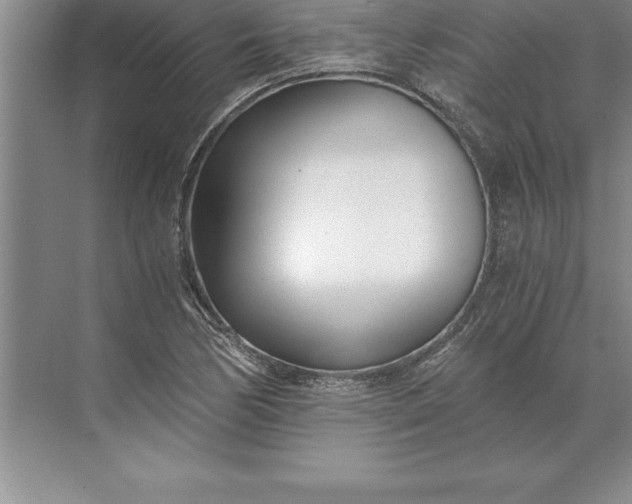 X0000071351170200607071716