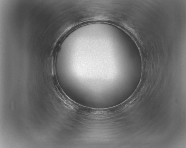 X0000071351171200607071716