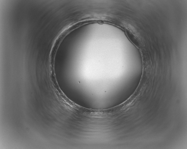 X0000071351172200607071716