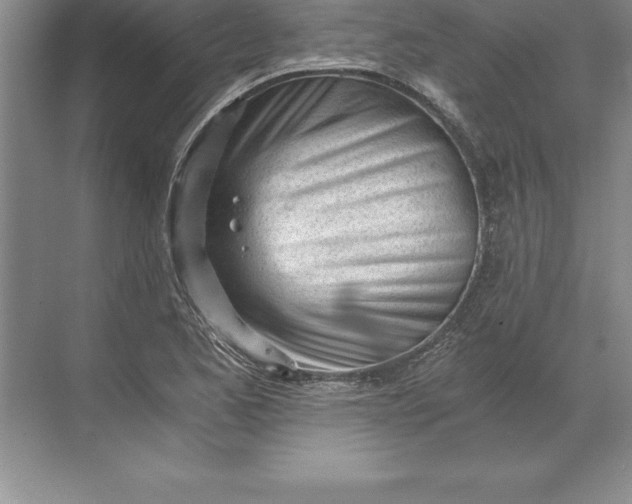 X0000071351173200607071716