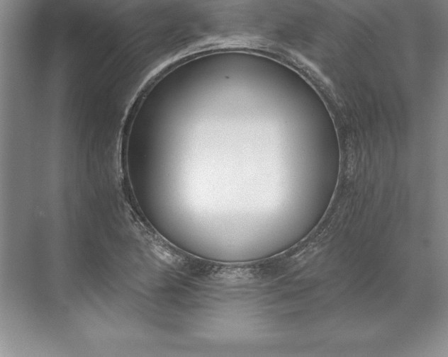 X0000071351174200607071716