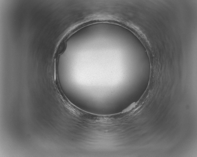 X0000071351175200607071716