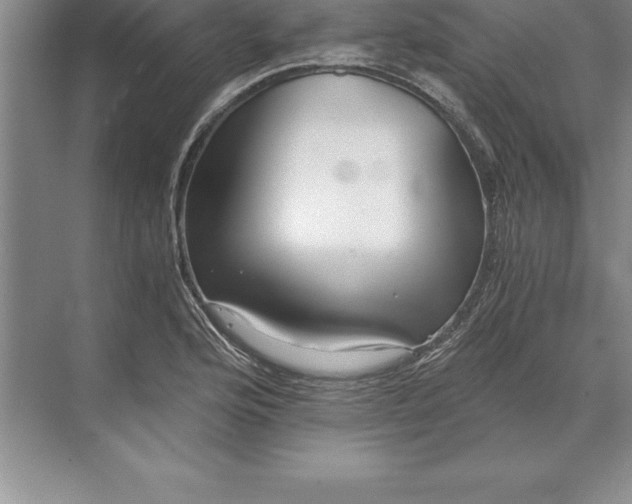 X0000071351176200607071716