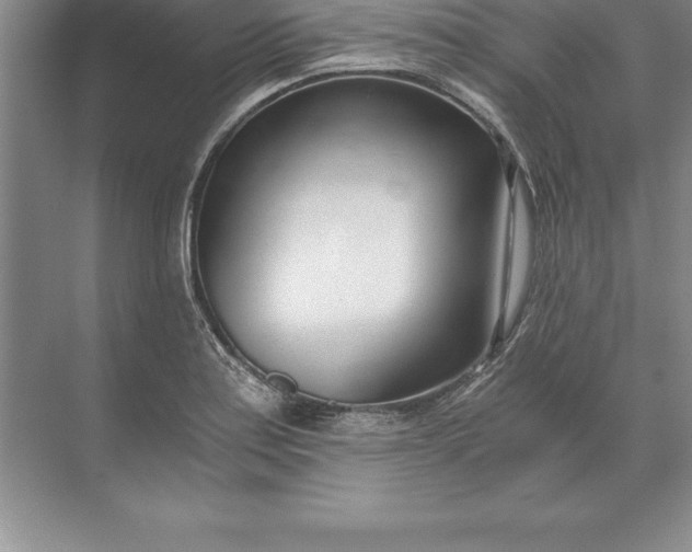 X0000071351179200607071716