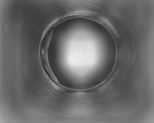 X0000071351180200607071716