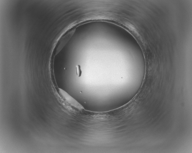 X0000071351181200607071716