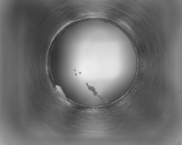 X0000071351182200607071716