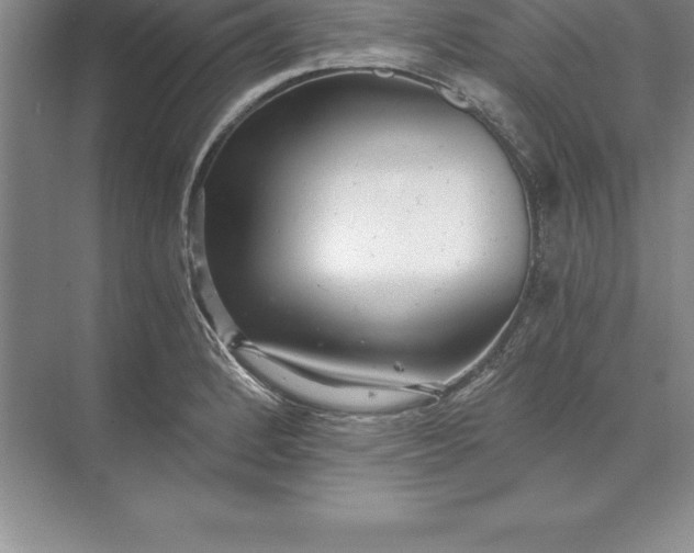 X0000071351184200607071716