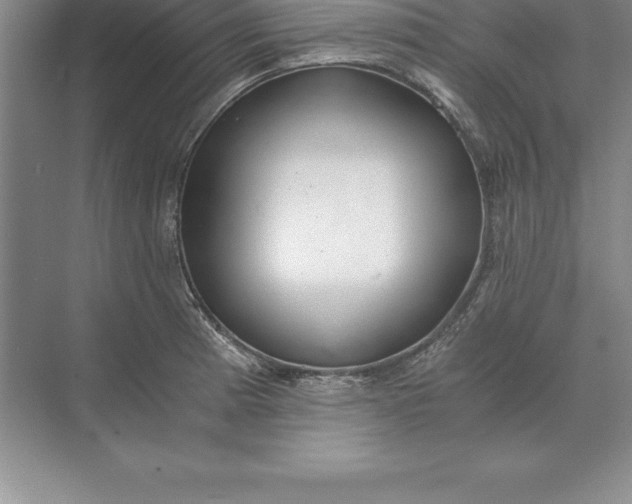 X0000071351185200607071716