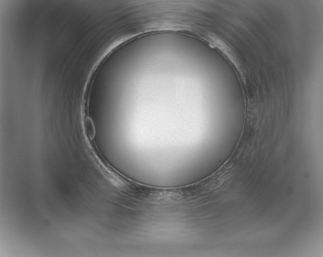 X0000071351187200607071716