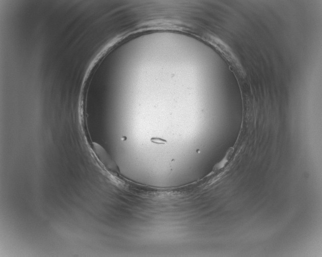 X0000071351188200607071716