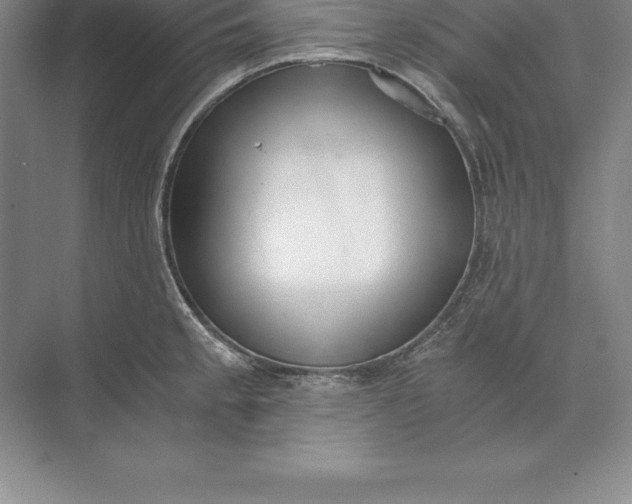 X0000071351189200607071716