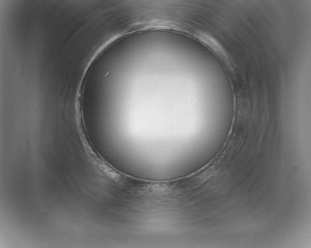 X0000071351190200607071716