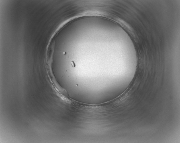 X0000071351192200607071716