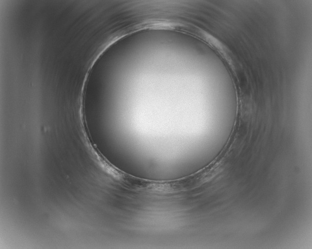 X0000071351194200607071716