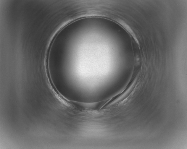 X0000071351197200607071716