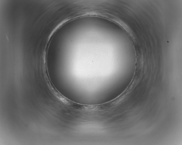 X0000071351198200607071716