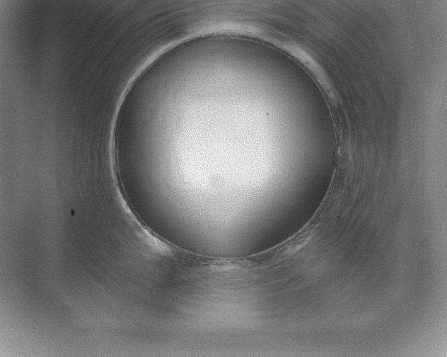 X0000071351199200607071716