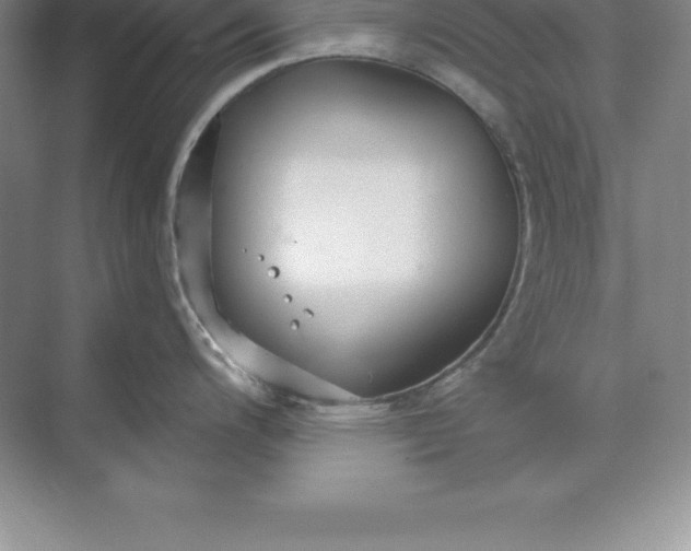 X0000071351200200607071716