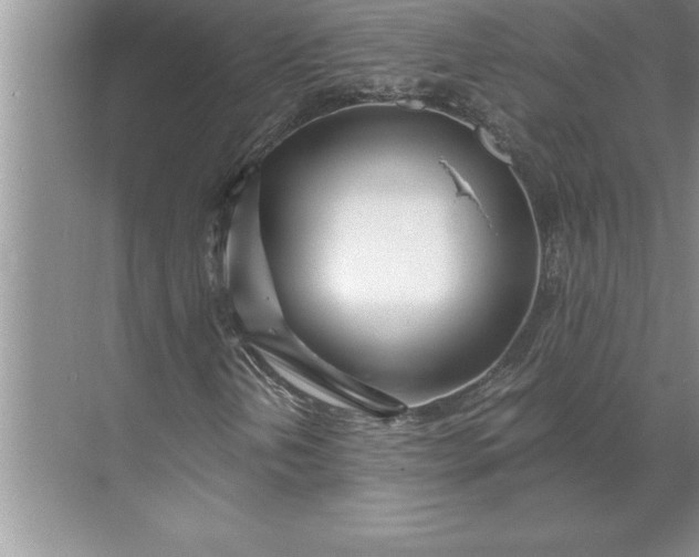 X0000071351202200607071715