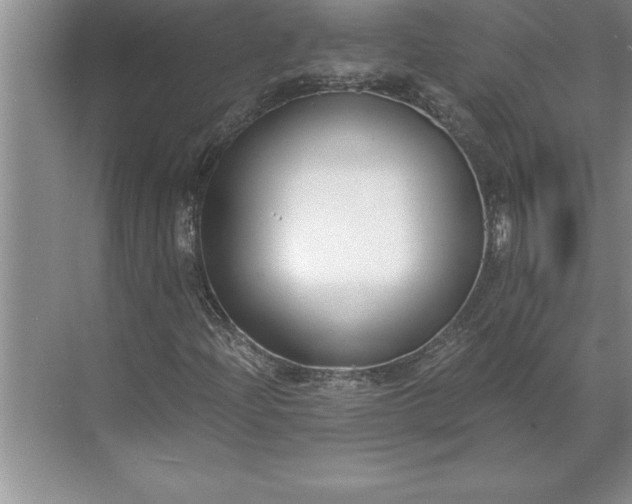 X0000071351204200607071715