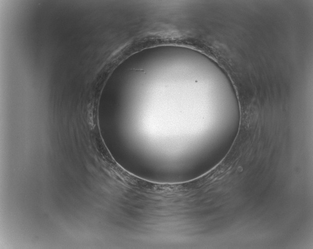 X0000071351205200607071715