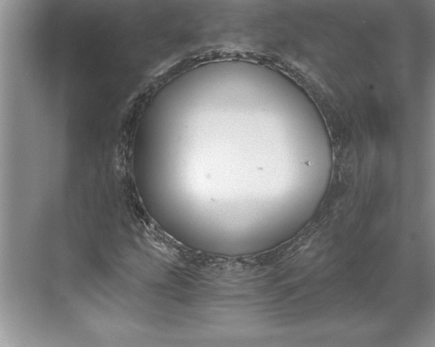 X0000071351207200607071715