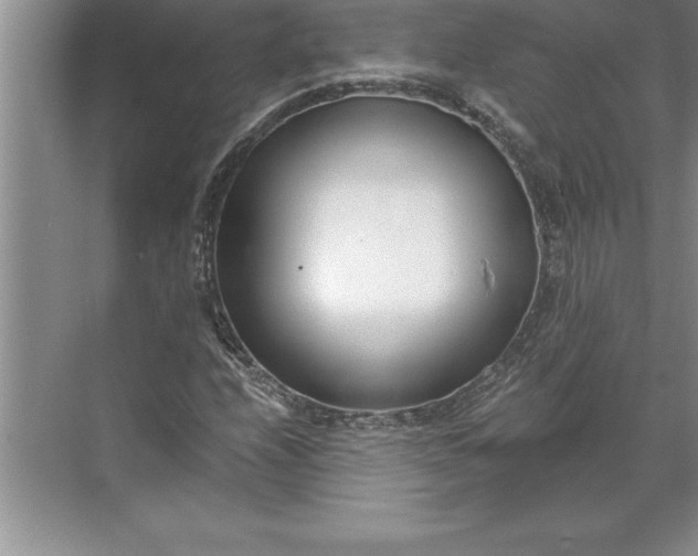 X0000071351208200607071715