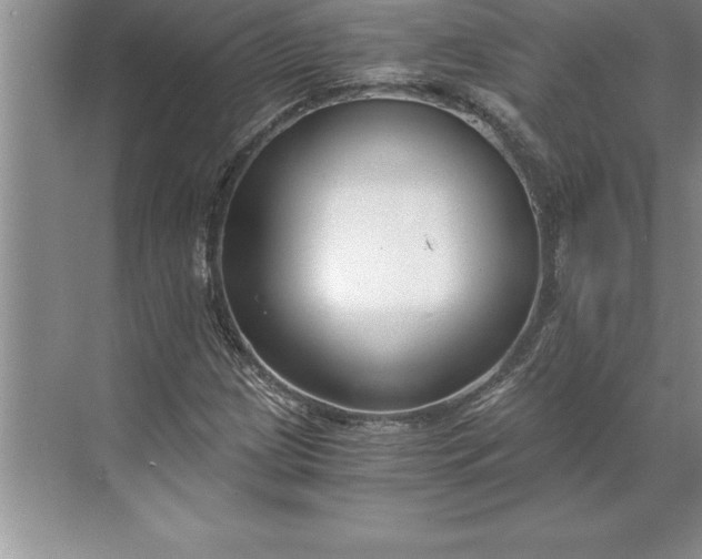 X0000071351209200607071715