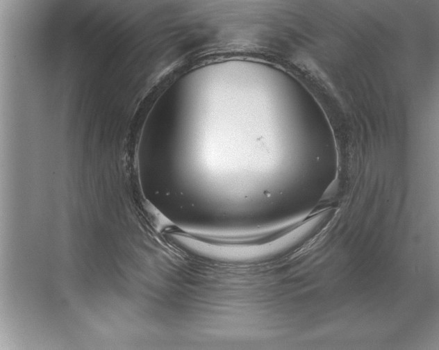 X0000071351210200607071715