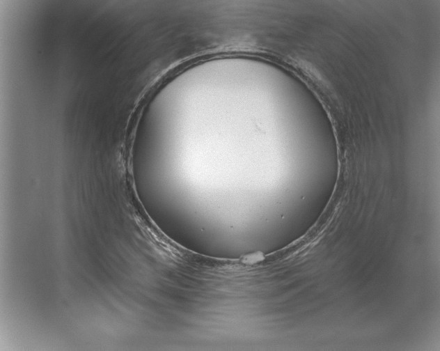 X0000071351212200607071715