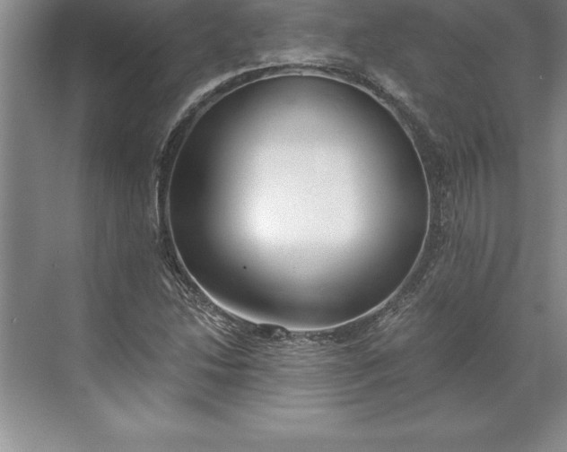 X0000071351214200607071715