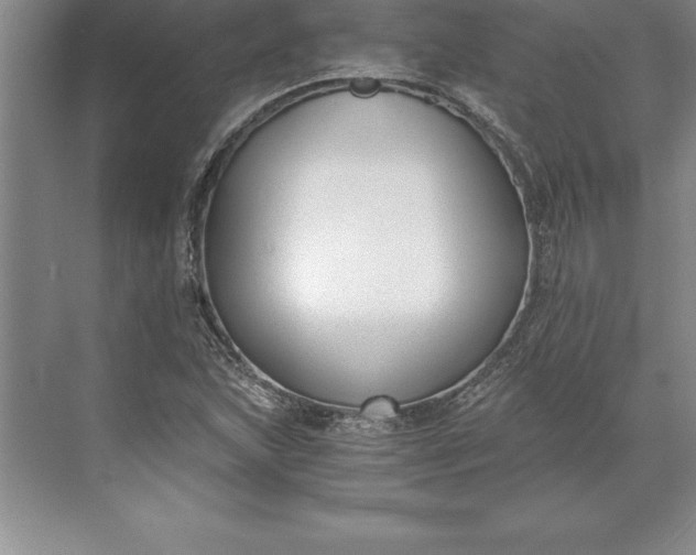 X0000071351215200607071715