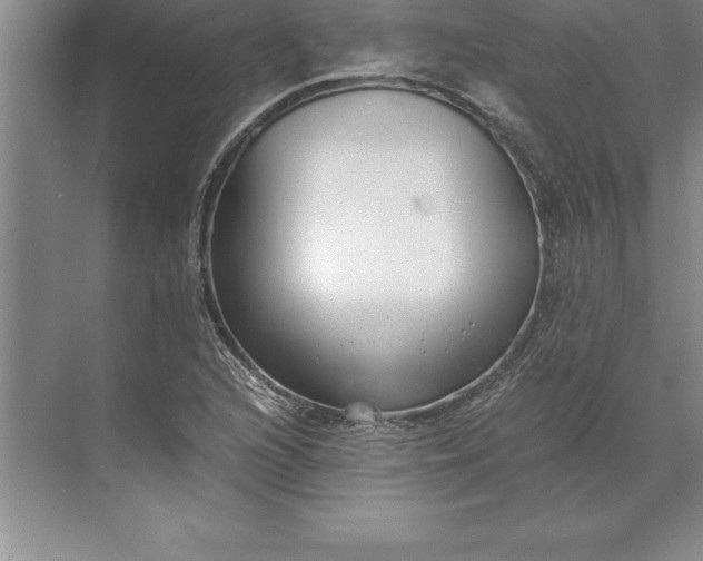 X0000071351216200607071715