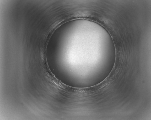 X0000071351217200607071715