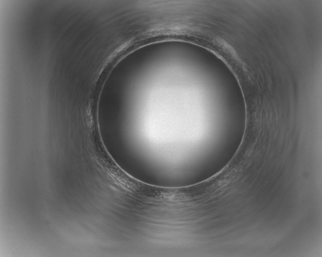 X0000071351218200607071715