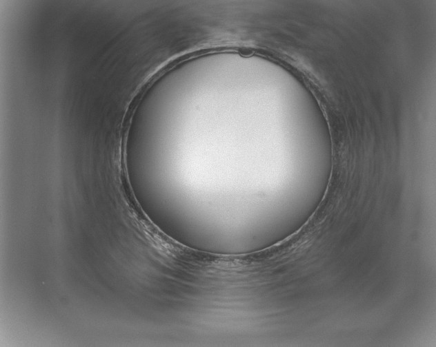 X0000071351220200607071715