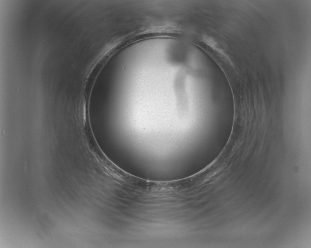 X0000071351221200607071715