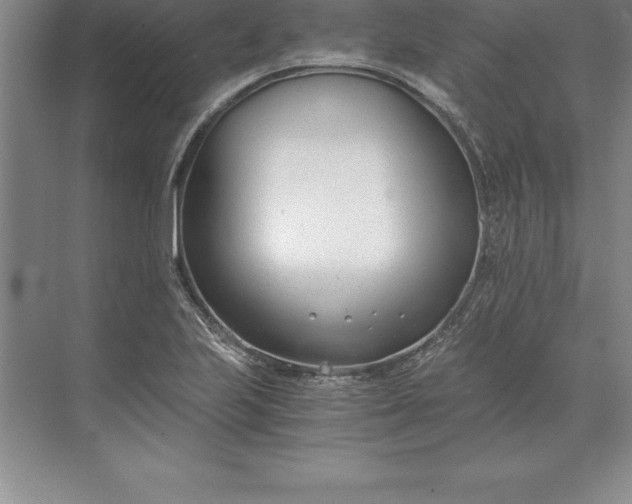 X0000071351223200607071715