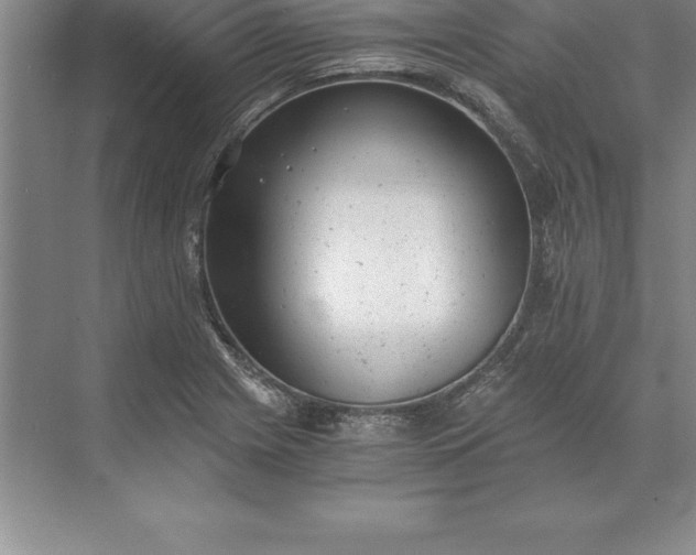 X0000071351225200607071715