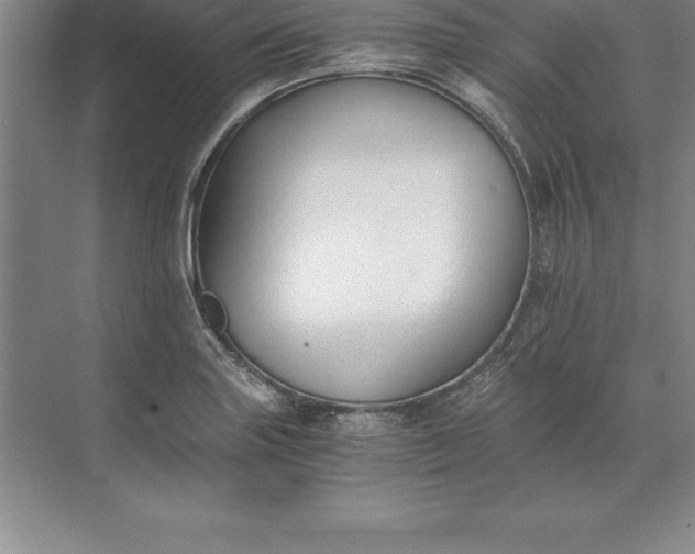 X0000071351227200607071715