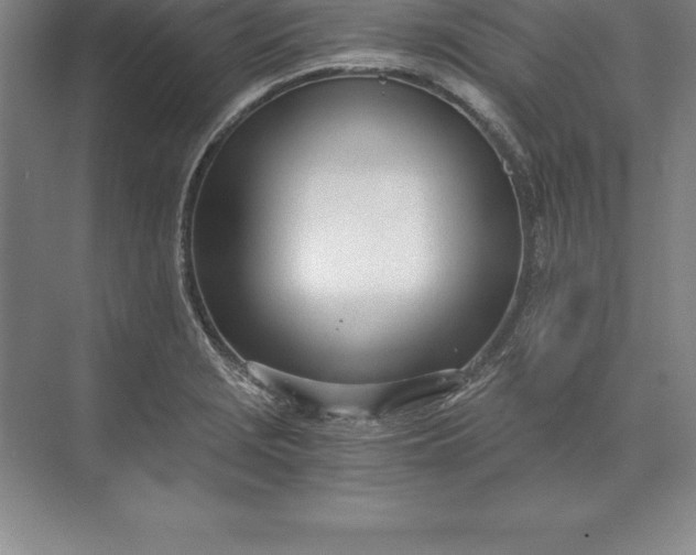 X0000071351229200607071715